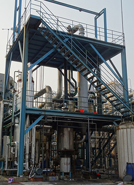 5T Sulfonation Plant