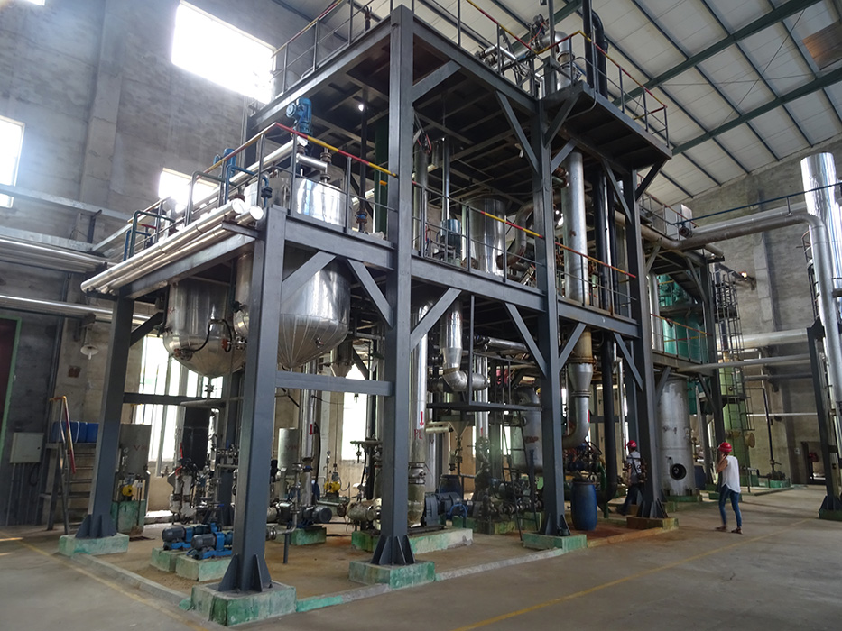 1.6T Sulfonation Plant