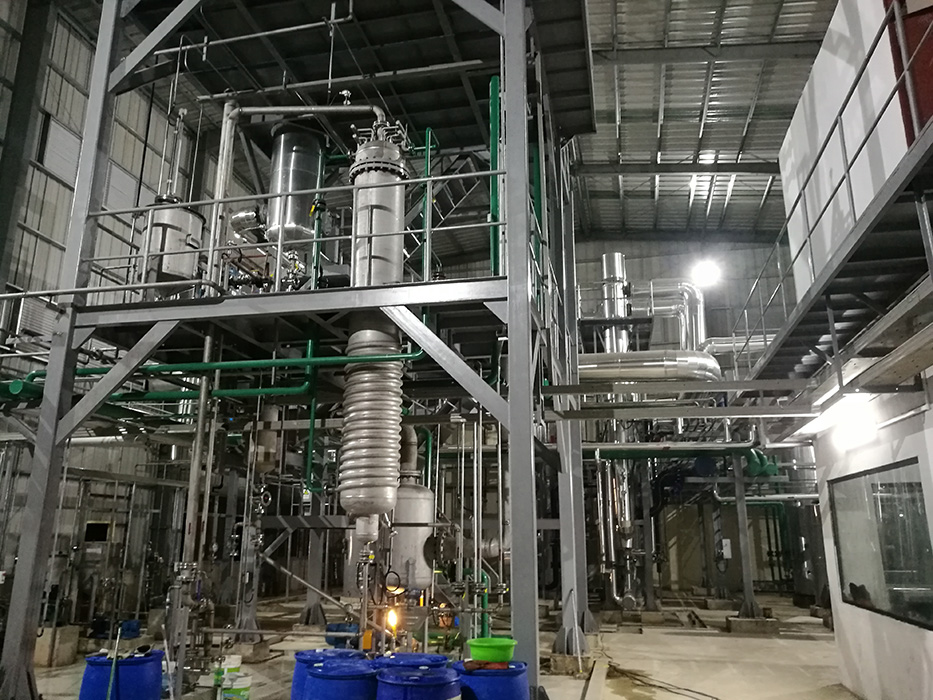 1T Sulfonation Plant